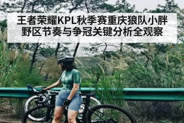 王者荣耀KPL秋季赛重庆狼队小胖野区节奏与争冠关键分析全观察（stake）
