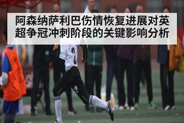 阿森纳萨利巴伤情恢复进展对英超争冠冲刺阶段的关键影响分析（stake）